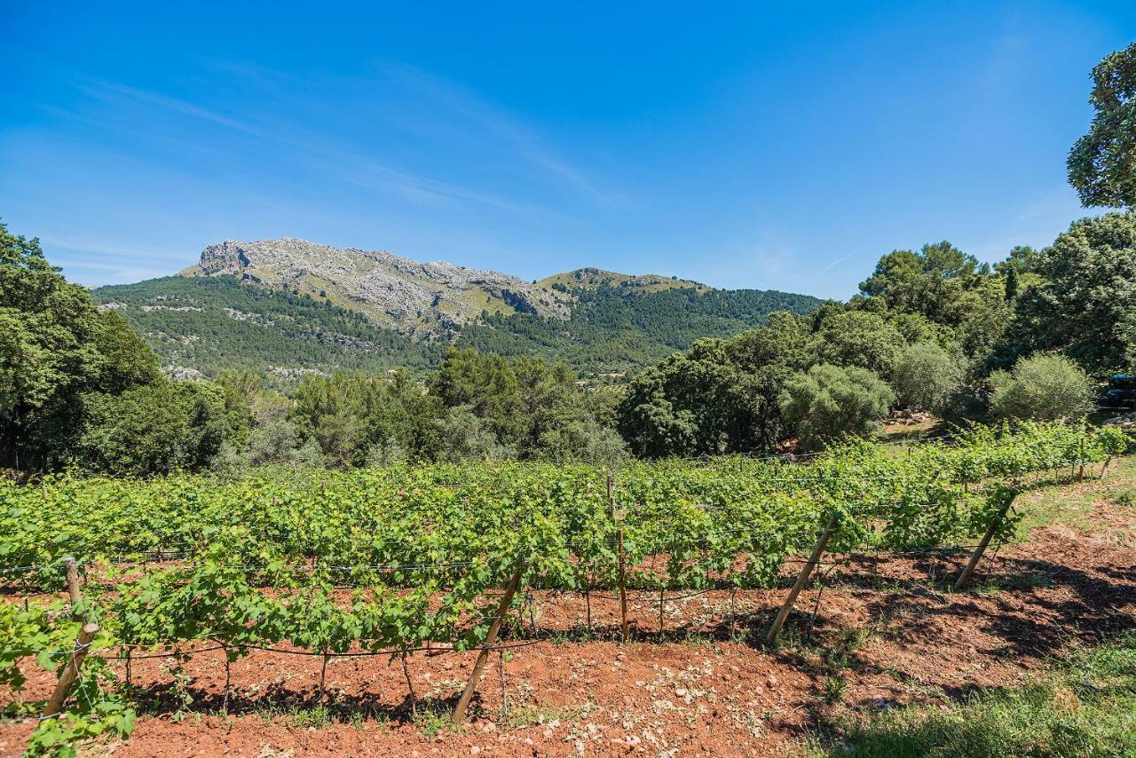Picassa Villa Pollença Exteriör bild